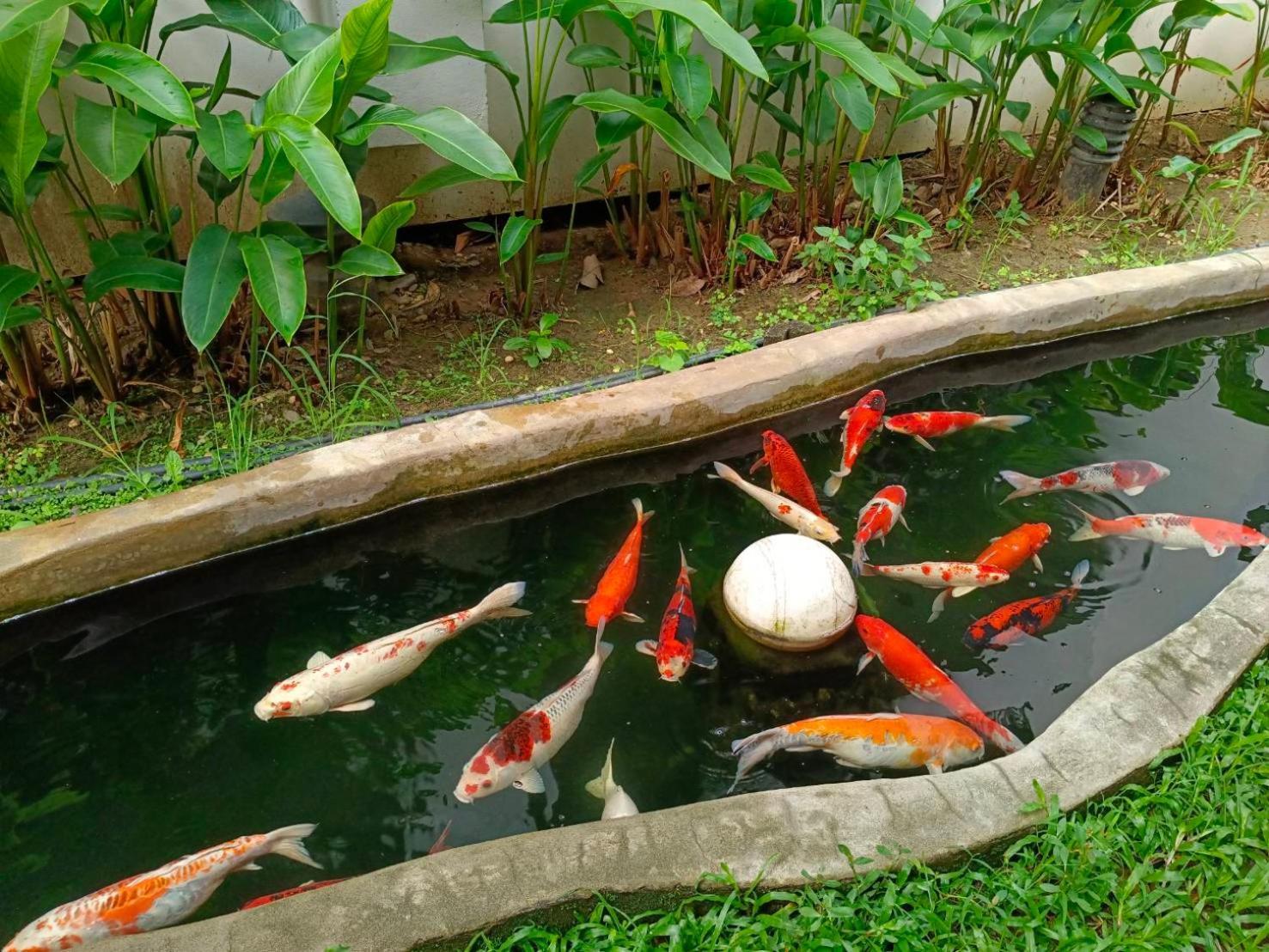 Khammon Lanna Resort Chiang Mai Exterior foto